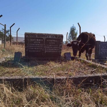 3. Visitor to the cemetery