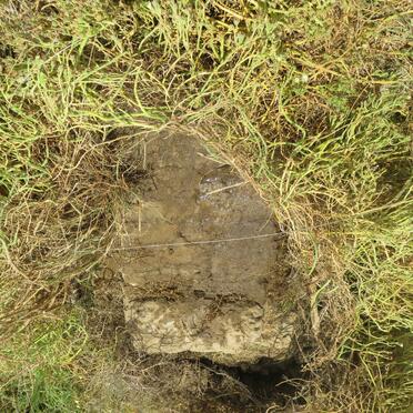 Eastern Cape, CRADOCK district, Fish River, Katkop 16, farm cemetery
