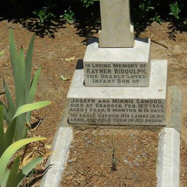 CAWOOD Rayner Biddulph -1900