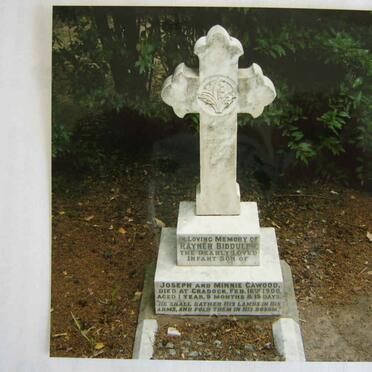 CAWOOD Raynier Biddolph -1900