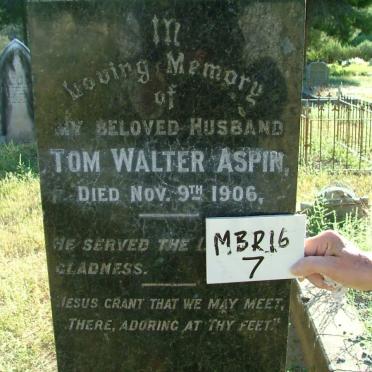 ASPIN Tom Walter -1906