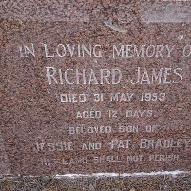 BRADLEY Richard James -1953