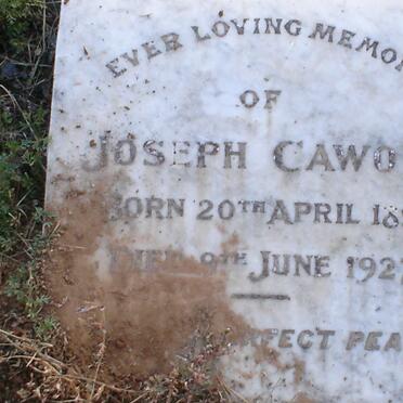 CAWOOD Joseph 1853-1927