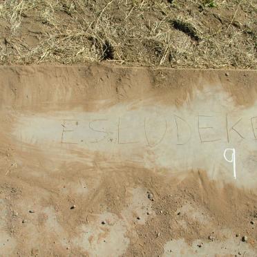 LUDEKE E.S.