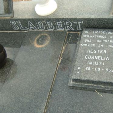 SLABBERT Izak Jacob 1943-1996 &amp; Hester Cornelia 1953- :: SLABBERT Stephanus Johannes Fanie 1972-1987