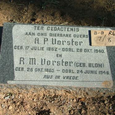 VORSTER A.P. 1862-1940 &amp; R.M. BLOM 1865-1946