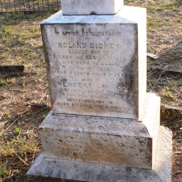 WHITE Roland Sidney -1873 :: WHITE Herbert Cawood -1874
