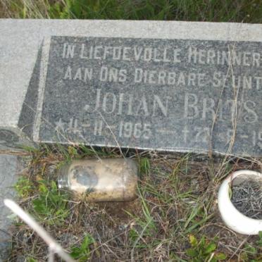 BRITS Johan 1965-1966