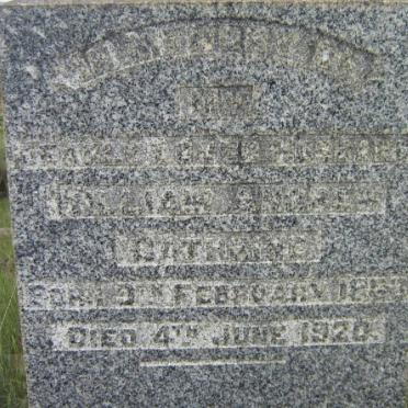 CATHERINE William Andres 1868-1920