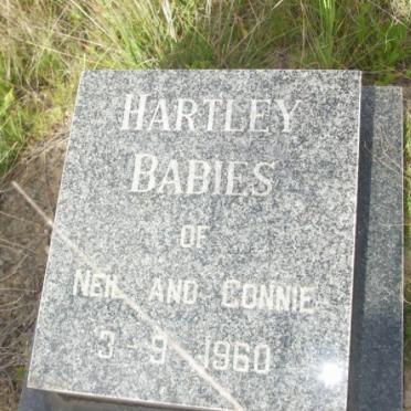 HARTLEY Babies -1960