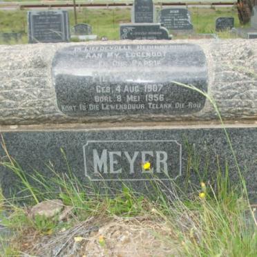 MEYER Pieter W. 1907-1956