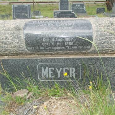 MEYER Pieter W. 1907-1956