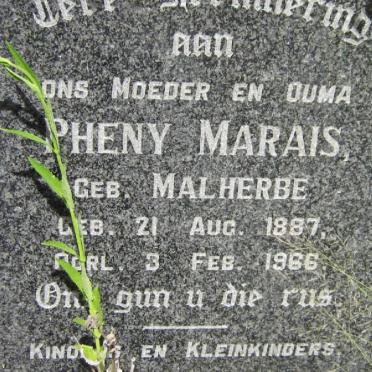 MARAIS Pheny nee MALHERBE 1887-1966