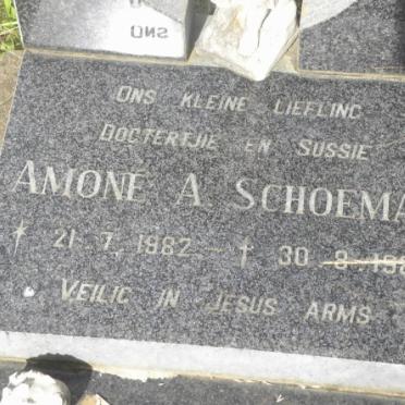 SCHOEMAN Amoné A. 1982-1982