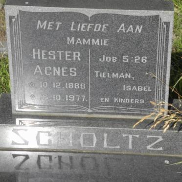 SCHOLTZ Hester Agnes 1888-1977