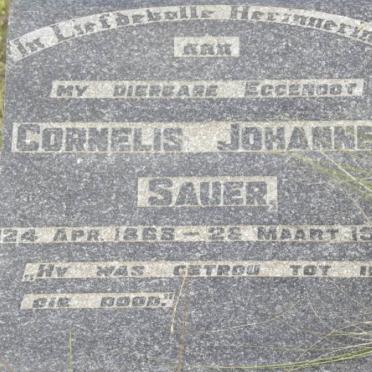 SAUER Cornelis Johannes 1868-1947 &amp; Johanna Maria BOTHA 1879-1967