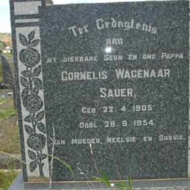 SAUER Cornelis Wagenaar 1905-1954