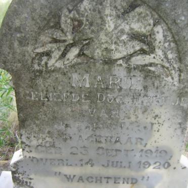 WAGENAAR Marie 1919-1920