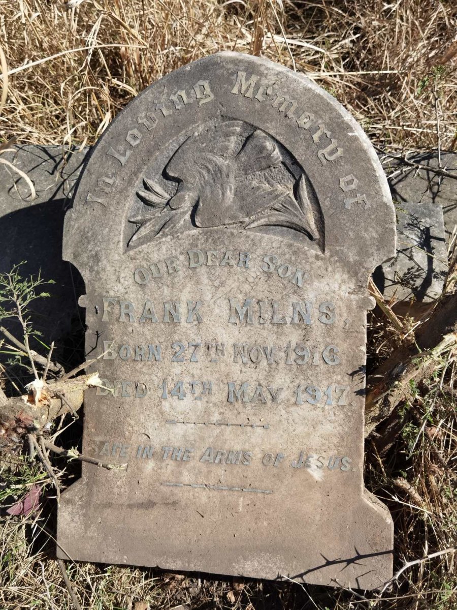 MILNS Frank 1916-1917