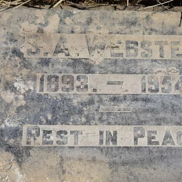 WEBSTER S.A. 1893-1954