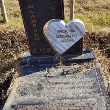 DLAMBULO Spectorina Nomdakazana Mamakho 1942-2015