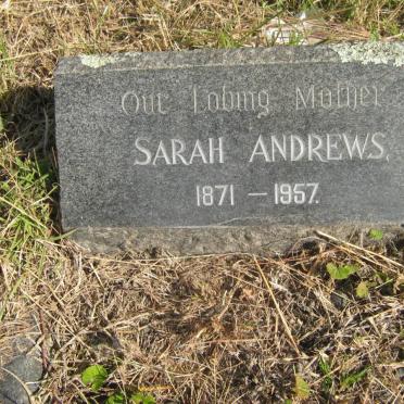 ANDREWS Sarah 1871-1957