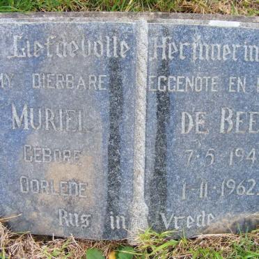 BEER Muriel, de 1941-1962