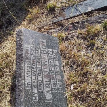 BOY Carl J.W. 1877-1956
