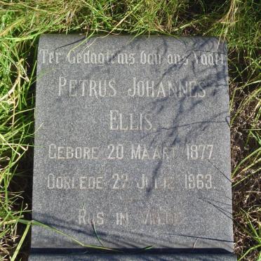 ELLIS Petrus Johannes 1877-1963