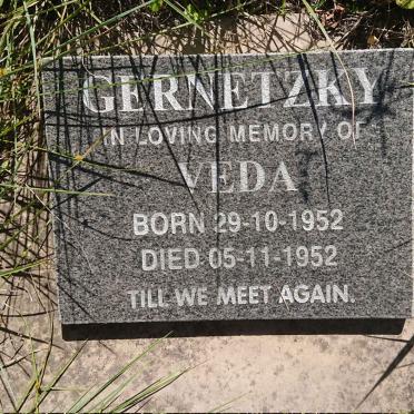 GERNETZKY Veda 1952-1952