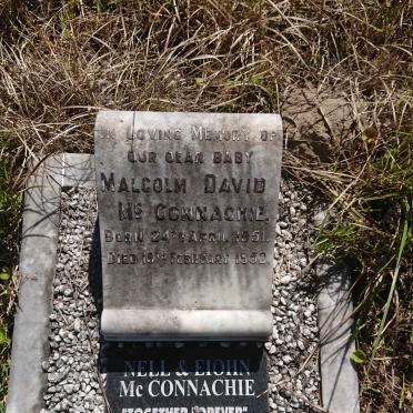McCONNACHIE Nell &amp; Eiohn :: McCONNACHIE Malcolm David 1951-1952