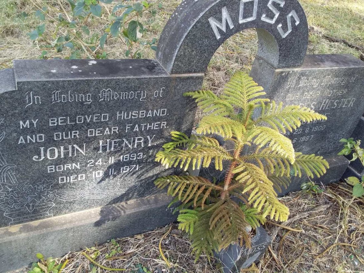 MOSS John Henry 1893-1971 &amp; Frances Hester Caroline 1900-1987