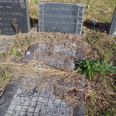 MOSS Stanley Hards 1913-1970