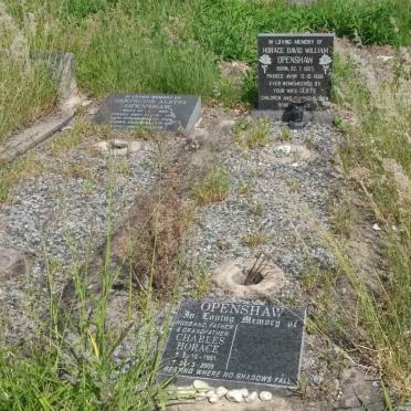 OPENSHAW Charles Horace 1951-2009 :: OPENSHAW Horace David William 1927-1956 :: OPENSHAW Gertruide Aletta 1922-2008