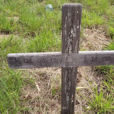 PRINS Nora 1947-2011