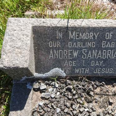 SANABRIA Andrew