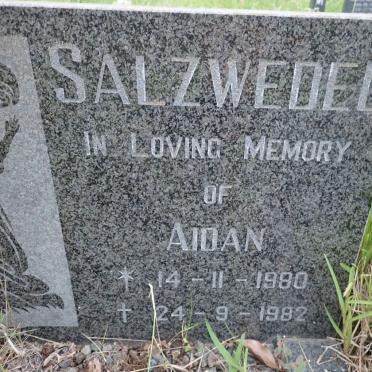 SALZWEDEL Aidan 1980-1982