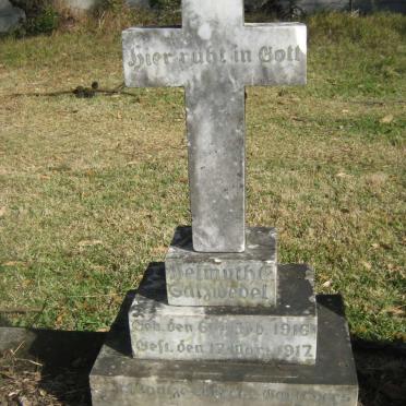 SALZWEDEL Helmuth 1916-1917