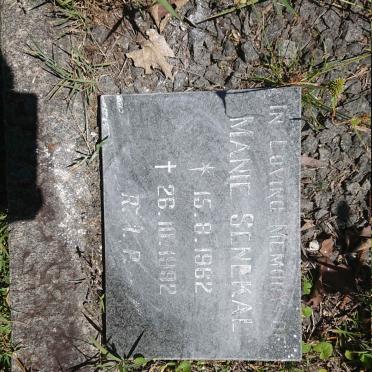 SENEKAL Manie 1962-1992