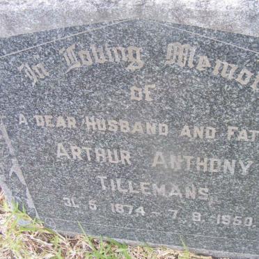 TILLEMANS Arthur Anthony 1874-1950
