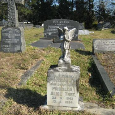 TREE Priscilla Alice 1943-1954