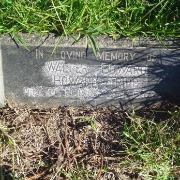 TRIPP Walter Edward, HOWARD -1963