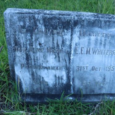 WHITEBREAD E.E.M. -1950