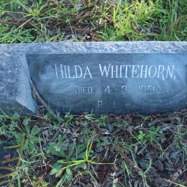 WHITEHORN Hilda -1951