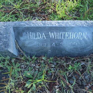 WHITEHORN Hilda -1951