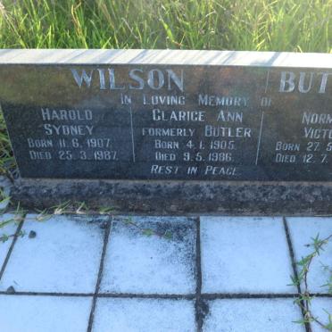 WILSON Harold Sydney 1907-1987 &amp; Clarice Ann formely BUTLER 1905-1986 :: BUTLER Norman Victor 1899-1953