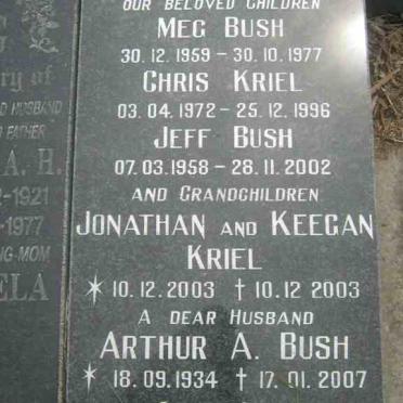 BUSH :: KRIEL