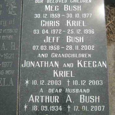BUSH :: KRIEL