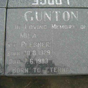 GUNTON Mila nee PLESNER 1929-1993