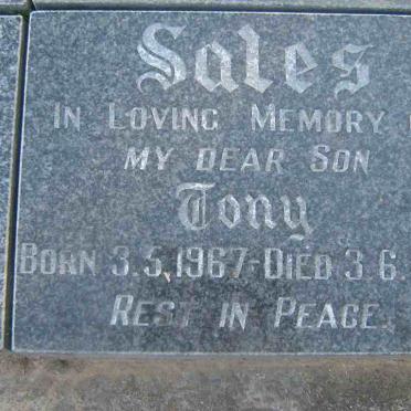 SALES Tony 1967-1988
